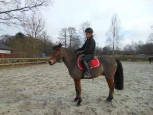 bolt, familj m,m 2015 138